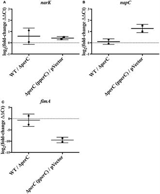 PerC Manipulates Metabolism and Surface Antigens in Enteropathogenic Escherichia coli